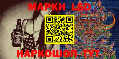 амф Новодвинск