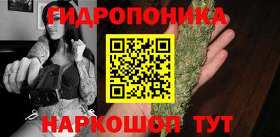 амф Новодвинск