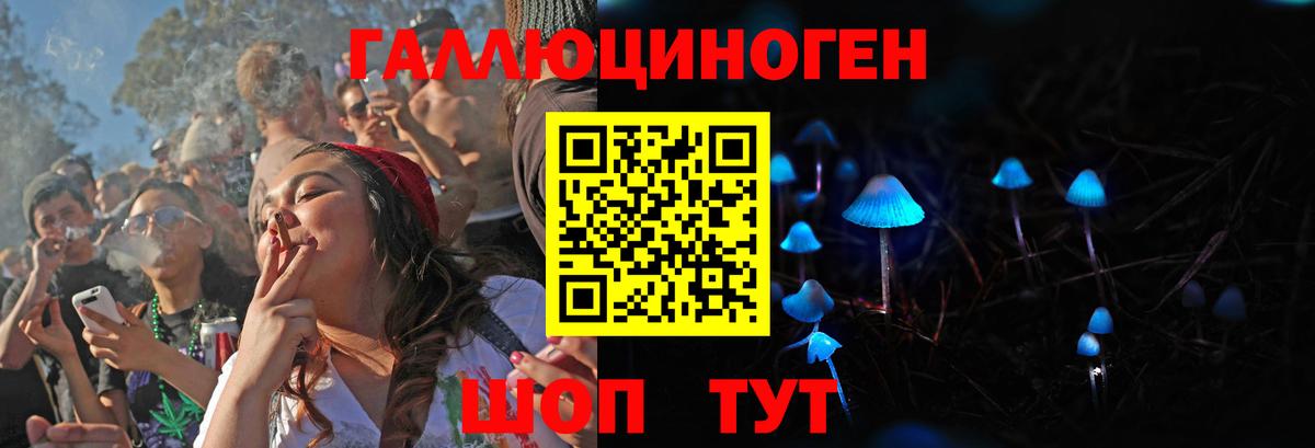 Галлюциногенные грибы Psilocybe Шелехов